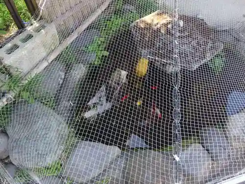 走水神社の動物