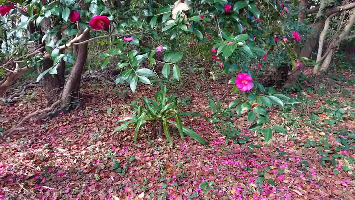 恵比寿神社(静岡県)