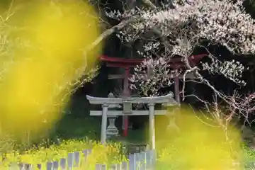 正一位稲荷神社の鳥居