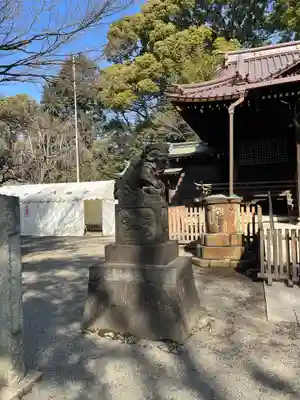 代々木八幡宮の狛犬