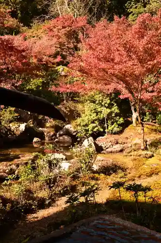 実相院門跡(京都府)