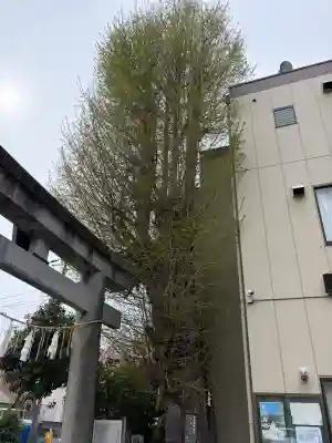 根岸八幡神社(神奈川県)