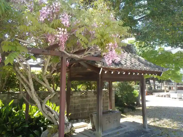 善宿寺(愛知県)