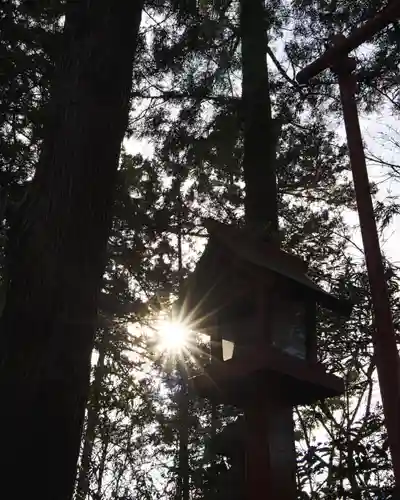 渋川八幡宮(群馬県)