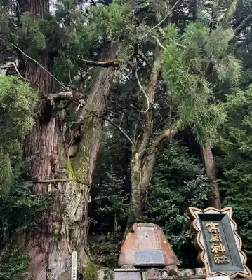 高岡神社(岡山県)