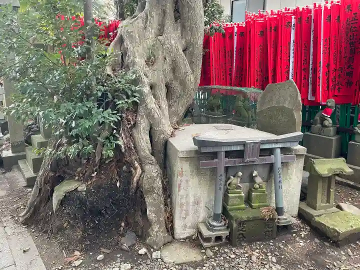 咤枳尼天堂 (出世稲荷)の{uncategorized: "未分類", other: "その他", undefined: "問題あり", building: "その他建物", grave: "お墓", sacred_gate: "鳥居", guardian: "狛犬", statue: "像", buddha: "仏像", history: "歴史", nature: "自然", garden: "庭園", animal: "動物", pagoda: "塔", temizu: "手水舎", mountain_gate: "山門・神門", sanctuary: "本殿・本堂", subordinate: "末社・摂社", art: "芸術", scenery: "景色", jizo: "地蔵", ema: "絵馬", goshuin: "御朱印", omikuji: "おみくじ", items: "授与品その他", amulet: "お守り", goshuincho: "御朱印帳", eats: "食事", festival: "お祭り", votive_dance: "神楽", shichigosan: "七五三参", wedding: "結婚式", experience: "体験その他", initially: "初詣", around: "周辺", anti_infection: "感染症対策"}