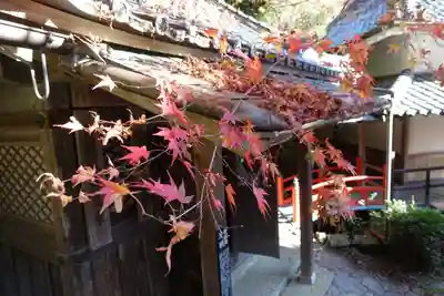 柳谷観音　楊谷寺のその他建物