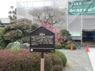 成福寺(静岡県)