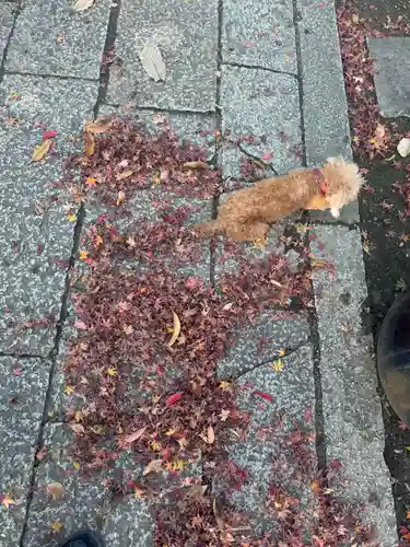 伊勢の国 四天王寺(三重県)