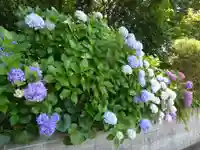 篠原八幡神社(神奈川県)