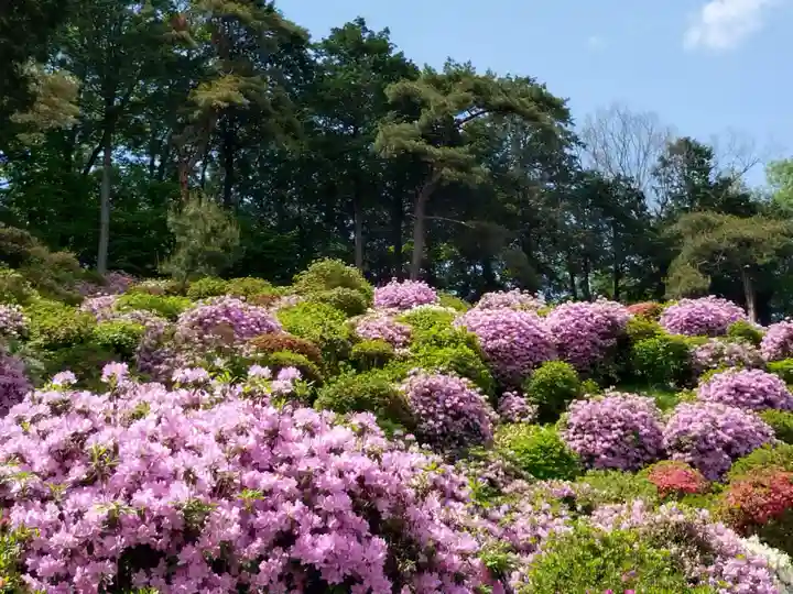 塩船観音寺(東京都)