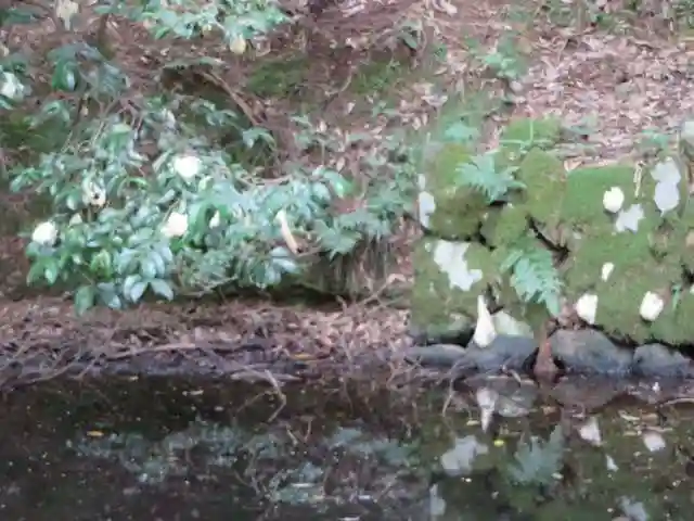 元伊勢内宮 皇大神社(京都府)