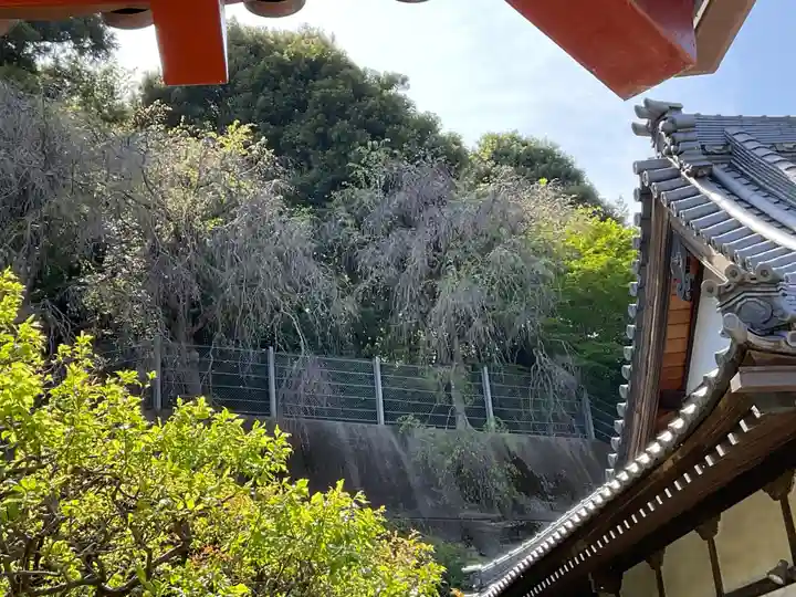 大聖院(東観寺)(神奈川県)