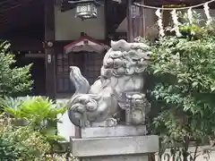 今熊神社の狛犬