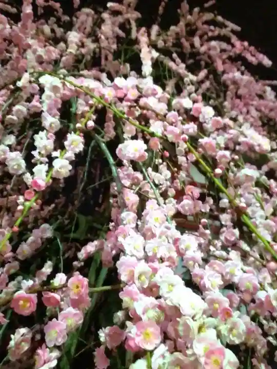 成願寺(東京都)