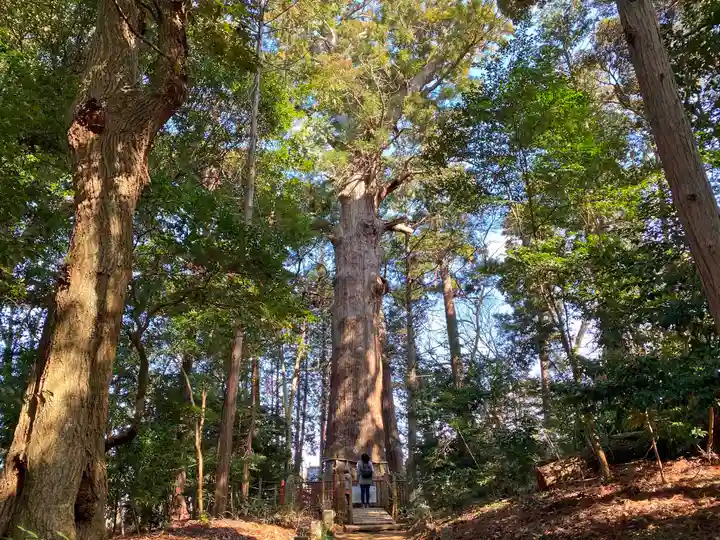 麻賀多神社の自然