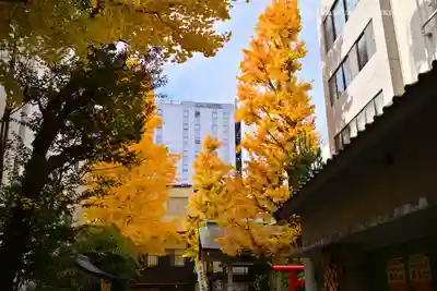 銀杏岡八幡神社(東京都)