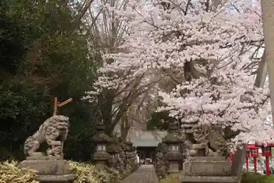 神炊館神社 ⁂奥州須賀川総鎮守⁂の狛犬