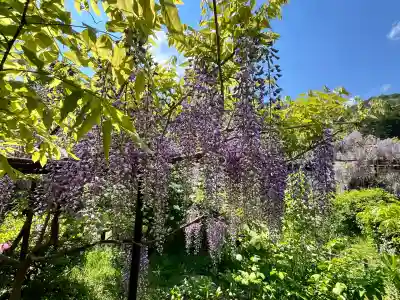 白毫寺熊野権現社(兵庫県)