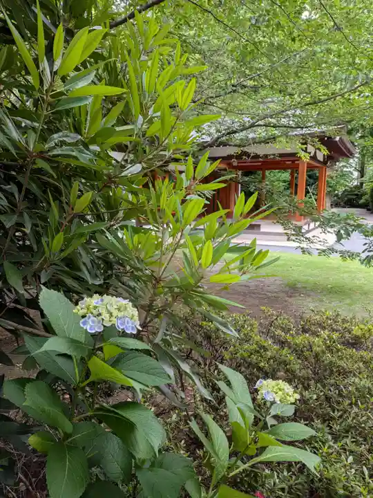 阿佐ヶ谷神明宮(東京都)
