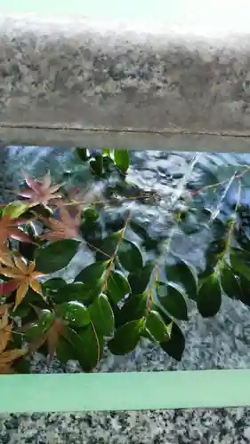 大宮・大原神社の手水舎