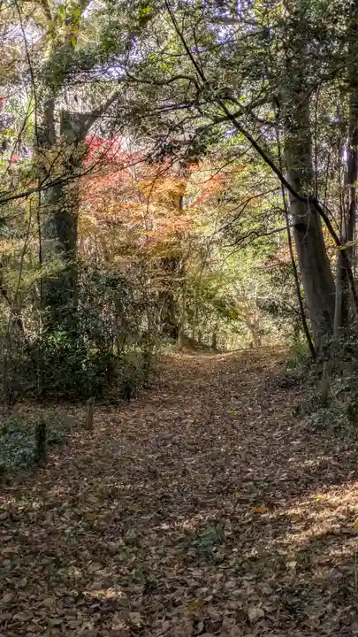 半木神社(賀茂別雷神社境外末社)(京都府)