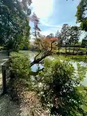 高鴨神社(奈良県)