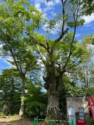 鹿島神社(福島県)