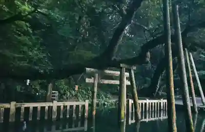 鹿島神宮(茨城県)