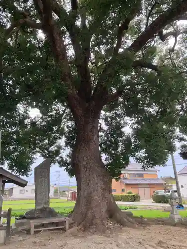 市杵島神社(徳島県)