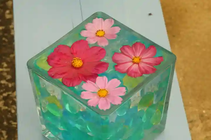 般若寺 ❁コスモス寺❁(奈良県)