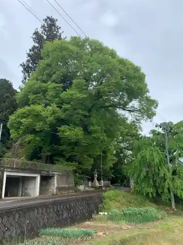 大雷神社(福島県)