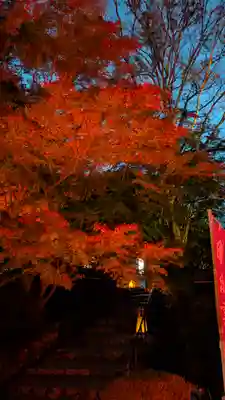出雲大神宮(京都府)