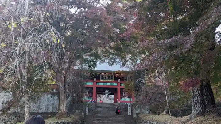 妙義神社(群馬県)