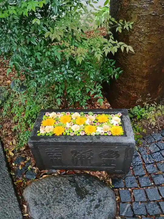 行田八幡神社の{uncategorized: "未分類", other: "その他", undefined: "問題あり", building: "その他建物", grave: "お墓", sacred_gate: "鳥居", guardian: "狛犬", statue: "像", buddha: "仏像", history: "歴史", nature: "自然", garden: "庭園", animal: "動物", pagoda: "塔", temizu: "手水舎", mountain_gate: "山門・神門", sanctuary: "本殿・本堂", subordinate: "末社・摂社", art: "芸術", scenery: "景色", jizo: "地蔵", ema: "絵馬", goshuin: "御朱印", omikuji: "おみくじ", items: "授与品その他", amulet: "お守り", goshuincho: "御朱印帳", eats: "食事", festival: "お祭り", votive_dance: "神楽", shichigosan: "七五三参", wedding: "結婚式", experience: "体験その他", initially: "初詣", around: "周辺", anti_infection: "感染症対策"}