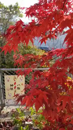 鹿角八坂神社の景色