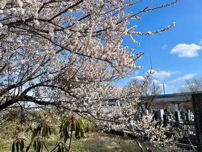 蓮行寺(栃木県)