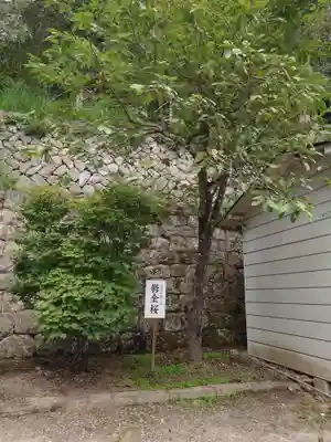金櫻神社(山梨県)