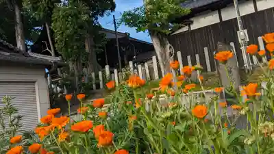 玉田神社(京都府)