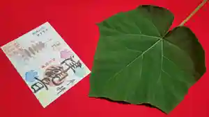 津観音(三重県)(2022年05月24日(火) 21時52分08秒投稿)