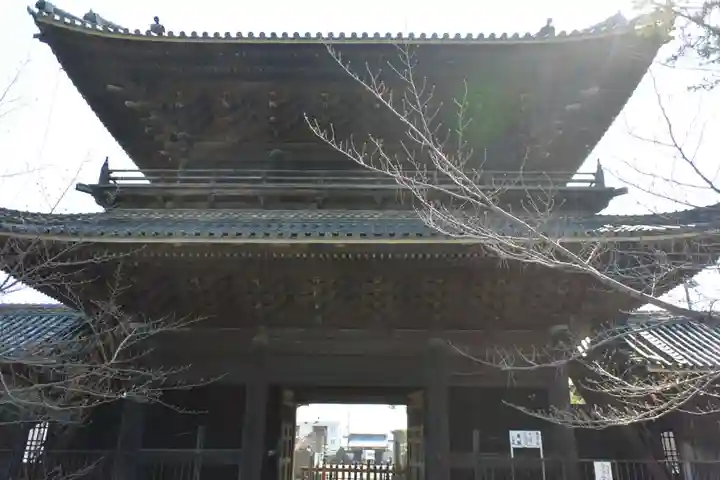 大樹寺(松安院大樹寺)の山門・神門