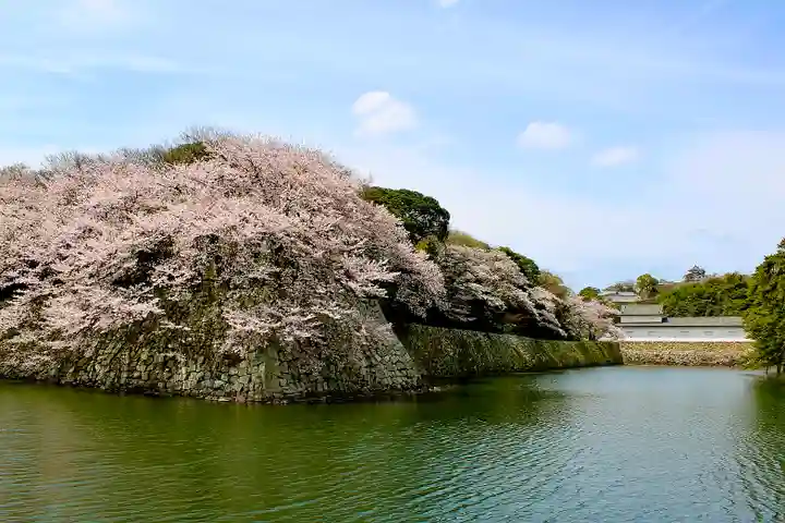 滋賀県護国神社(滋賀県)