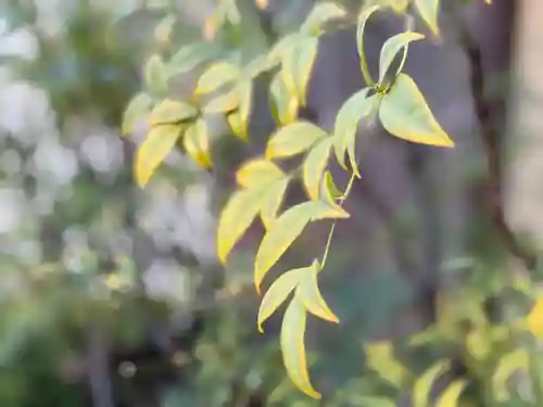 西方山極楽寺(岐阜県)