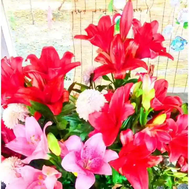 彌彦神社 (伊夜日子神社)の手水舎
