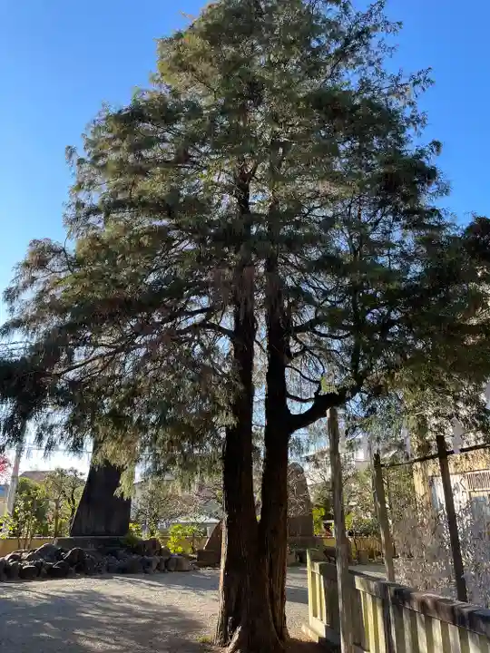 谷保天満宮(東京都)