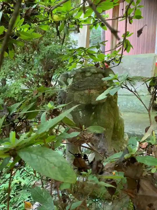 天照大神社の狛犬