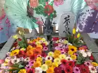 札幌諏訪神社の手水舎