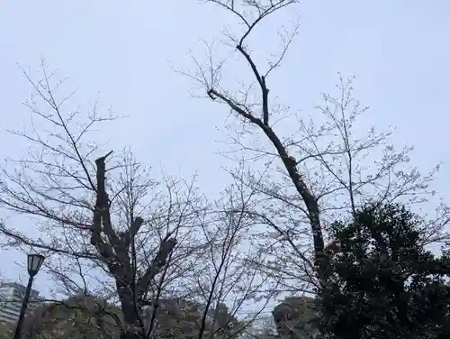 千鳥ヶ淵戦没者墓苑(東京都)