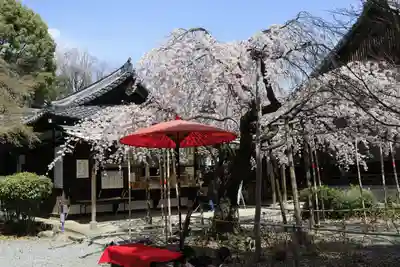 水無瀬神宮(大阪府)