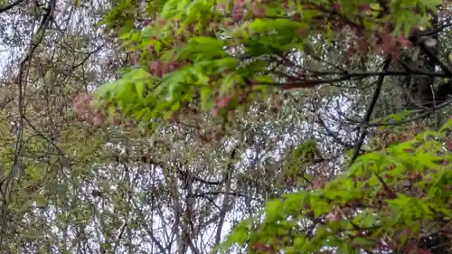 梨木神社(京都府)